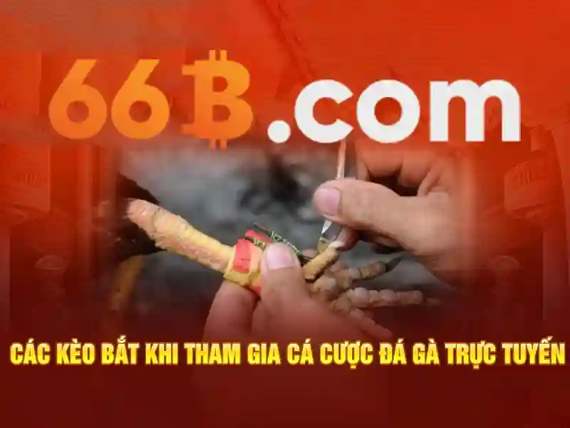 66b: Tiềm năng và thách thức