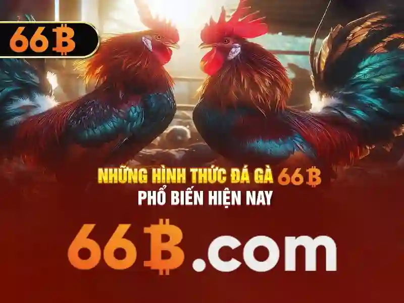 66b free chip – Phân tích và ứng dụng cho cộng đồng