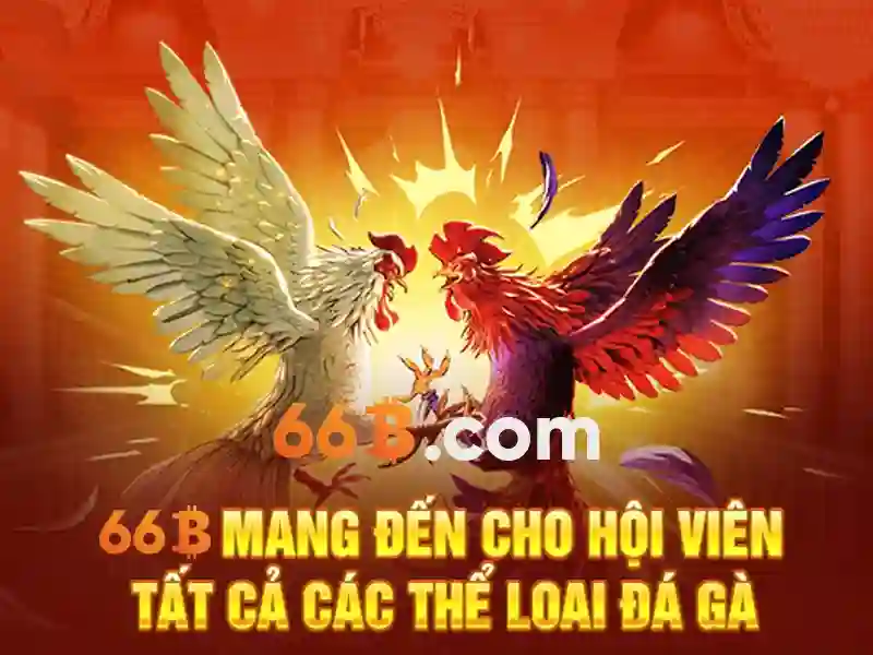 Kiến trúc và tham số của 66b