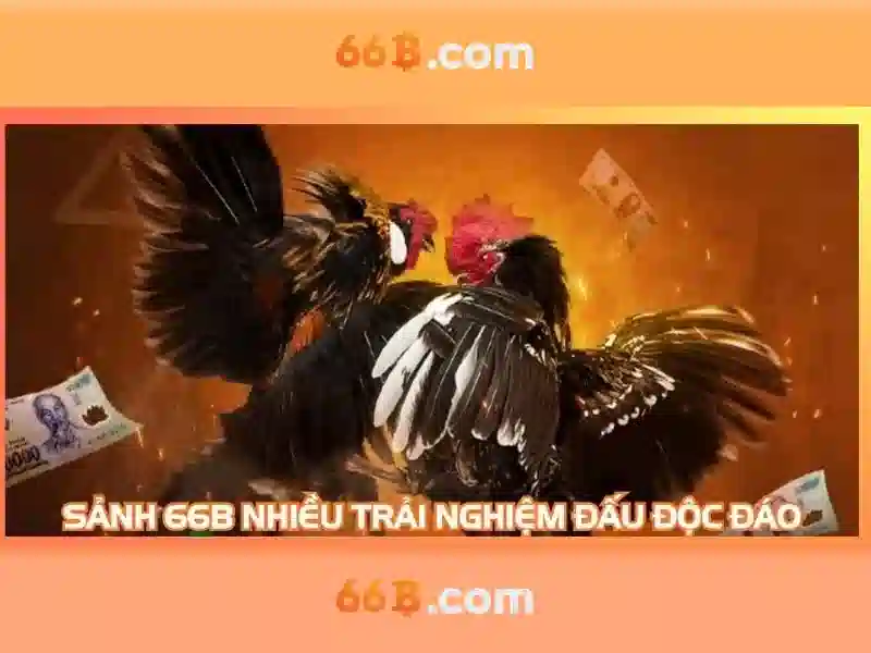 66b bet com – Thương hiệu và trải nghiệm toàn diện