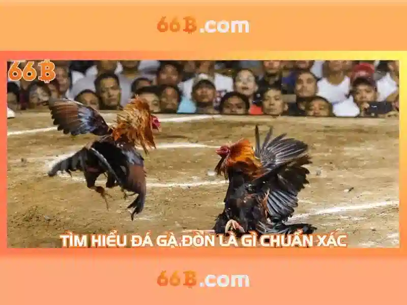 64/66b – Chủ đề và giá trị cốt lõi