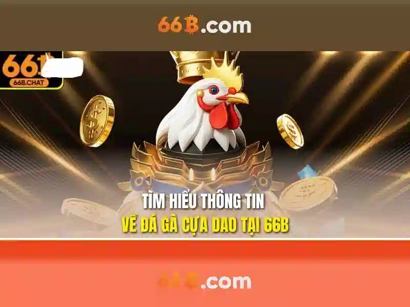 66b win: Đột phá cùng ứng dụng 66b và 66b triều khúc