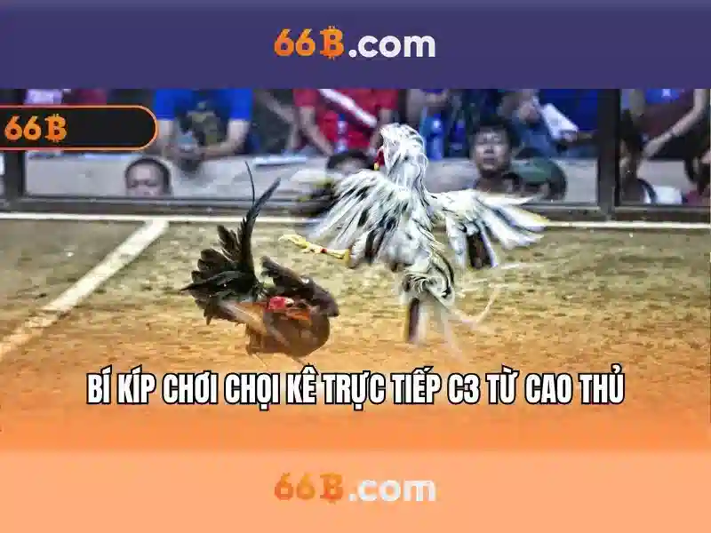 66b — Con số dẫn đường trong kỷ nguyên số