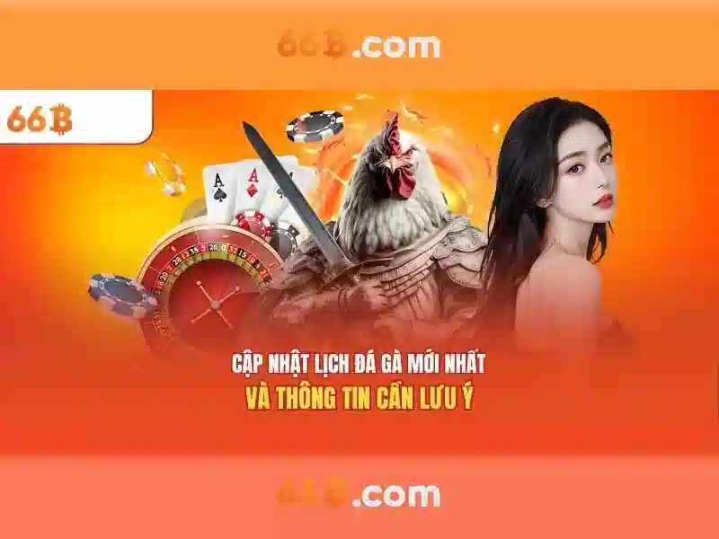 66b: Khái niệm và ứng dụng