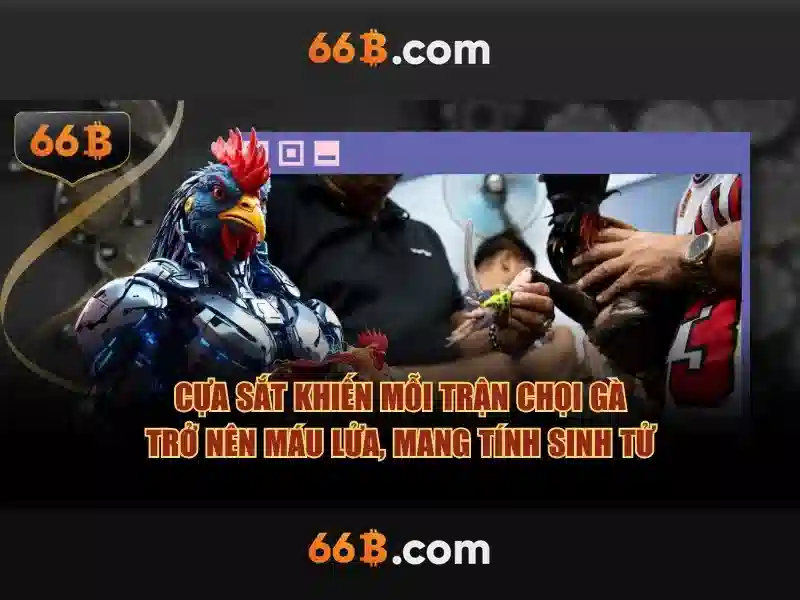 Kết luận về tương lai của 66B