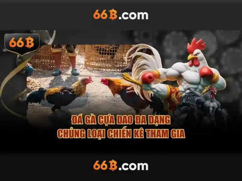 66b trong công nghệ và tác động của nó