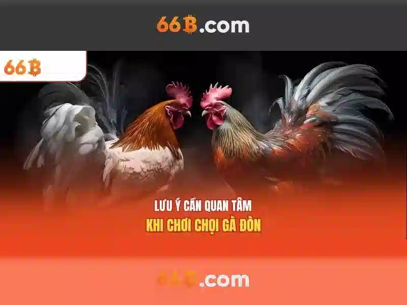 66B: Khám phá một mã số và ý nghĩa