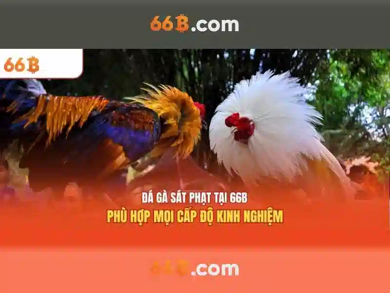 Những thách thức và hạn chế