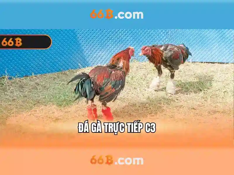 66b trong hệ thập lục phân