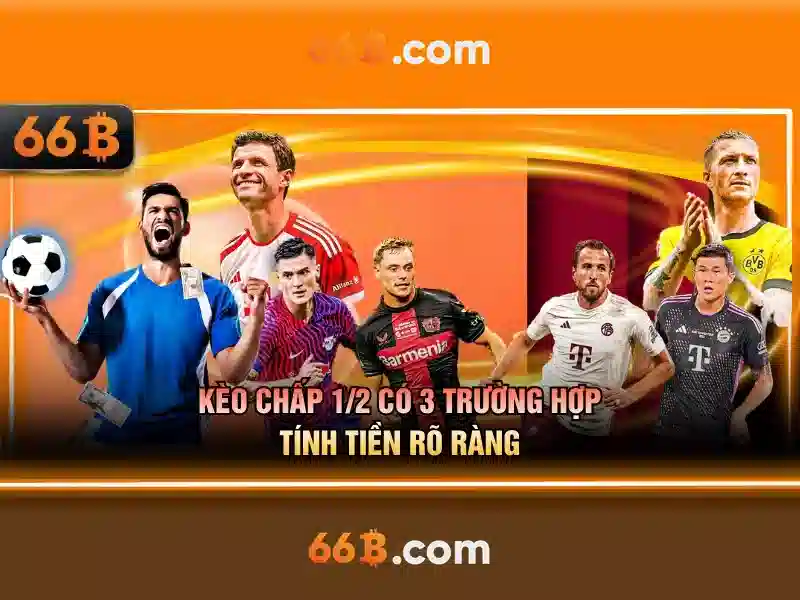 Hiệu suất và giới hạn