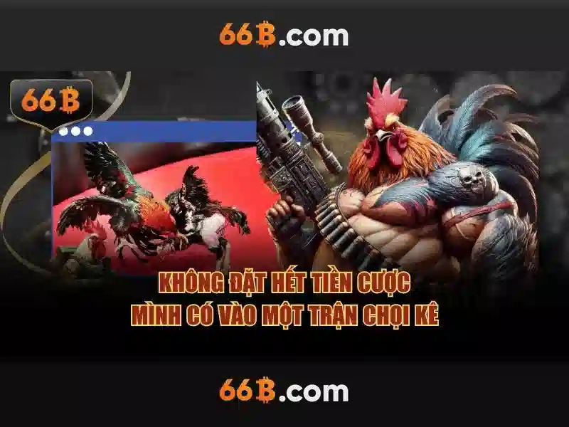 66B: Một cái nhìn tổng quan về mô hình ngôn ngữ 66 tỷ tham số