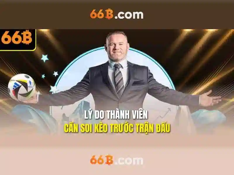 66b. Tổng quan và Giá trị cốt lõi của thương hiệu 66b
