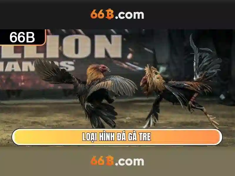 66B: Mô hình ngôn ngữ khối lượng lớn và tương lai của AI