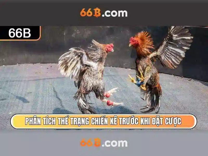 66b: Khái niệm và ảnh hưởng của mô hình ngôn ngữ lớn