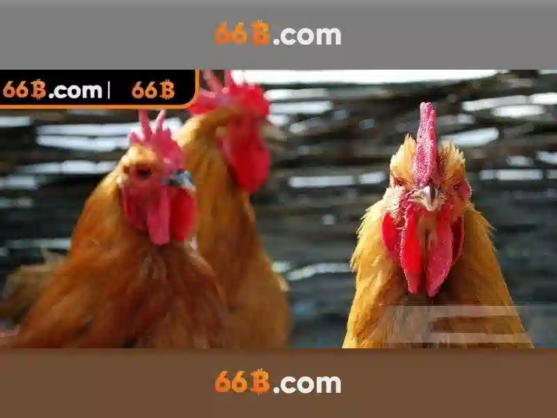 66B: Khám phá mô hình ngôn ngữ 66B và đóng góp của nó