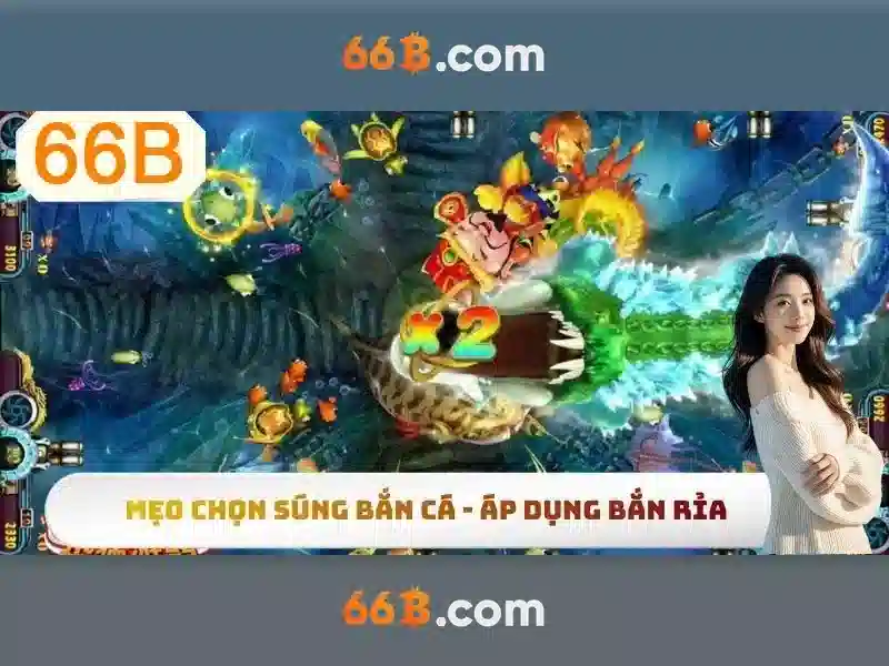 Khởi đầu với 66b