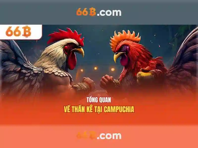 66b trong thế giới số: ý nghĩa và tiềm năng
