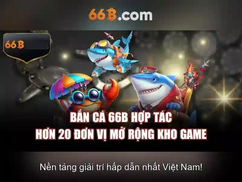 66B trong thực tế và ví dụ