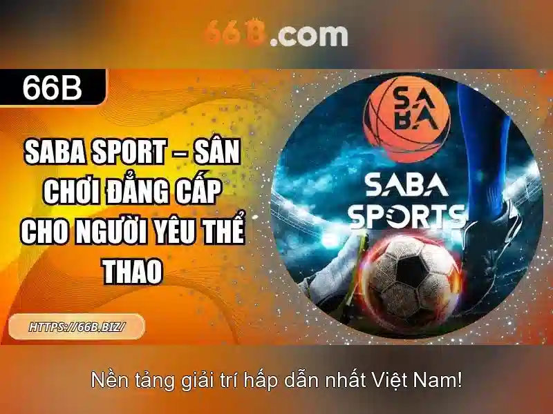 66b là gì và vai trò của nó trong công nghệ hiện đại