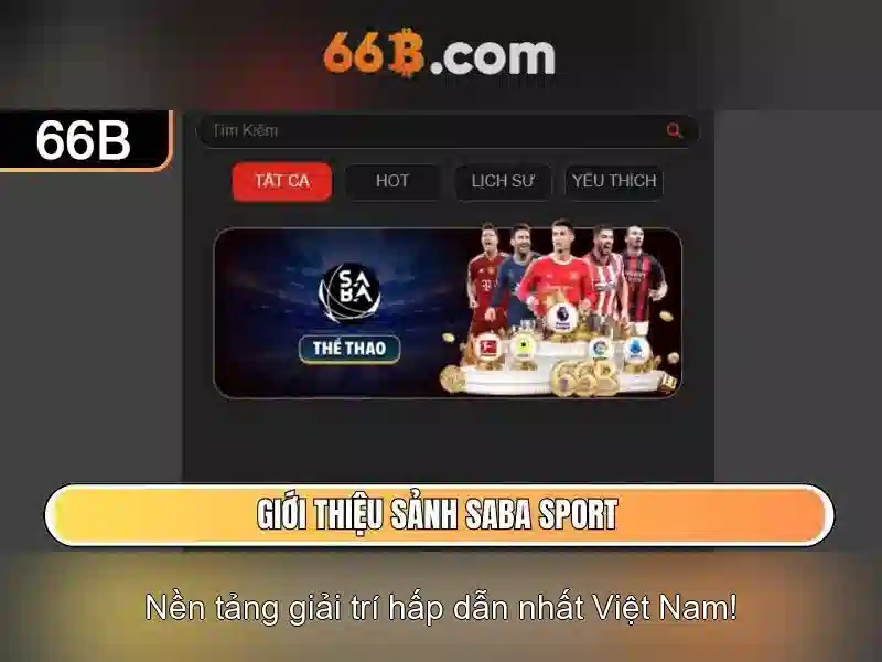 66b: Khái niệm, ảnh hưởng và tiềm năng