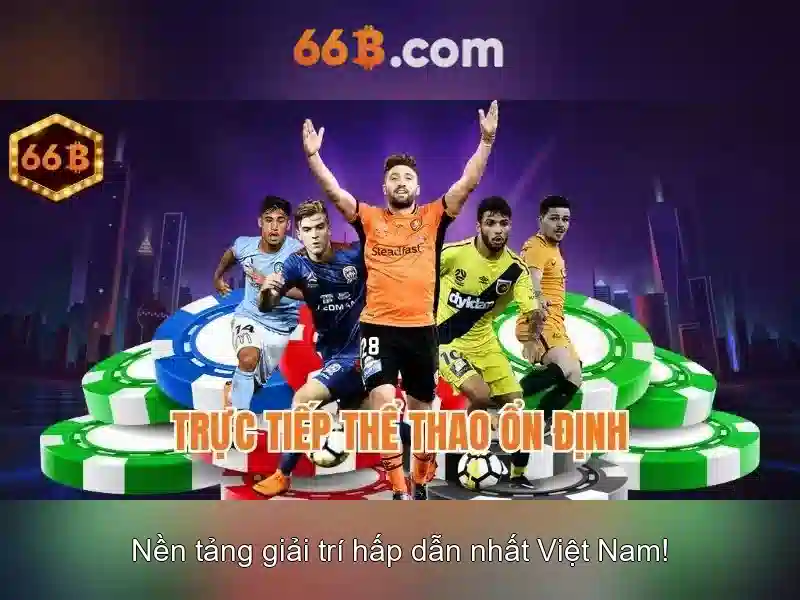 66b trong công nghệ và dữ liệu