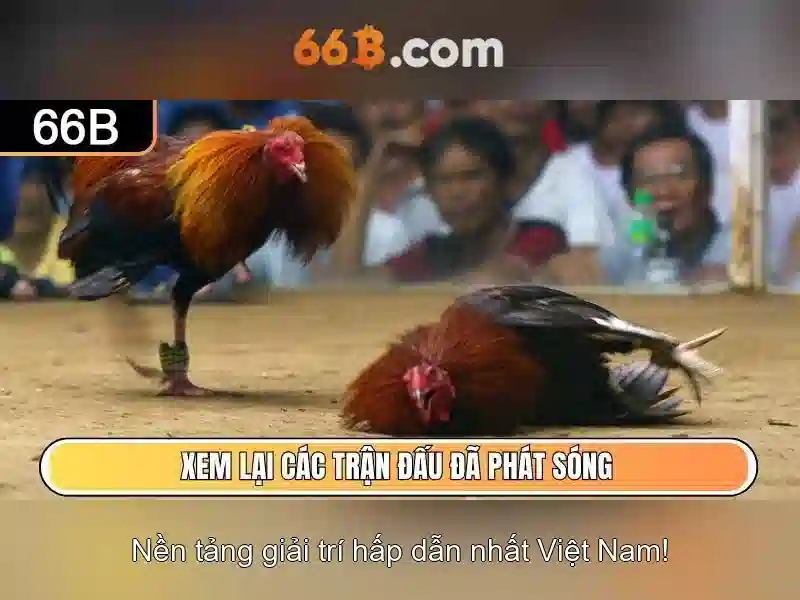 Kích thước và tiến trình huấn luyện