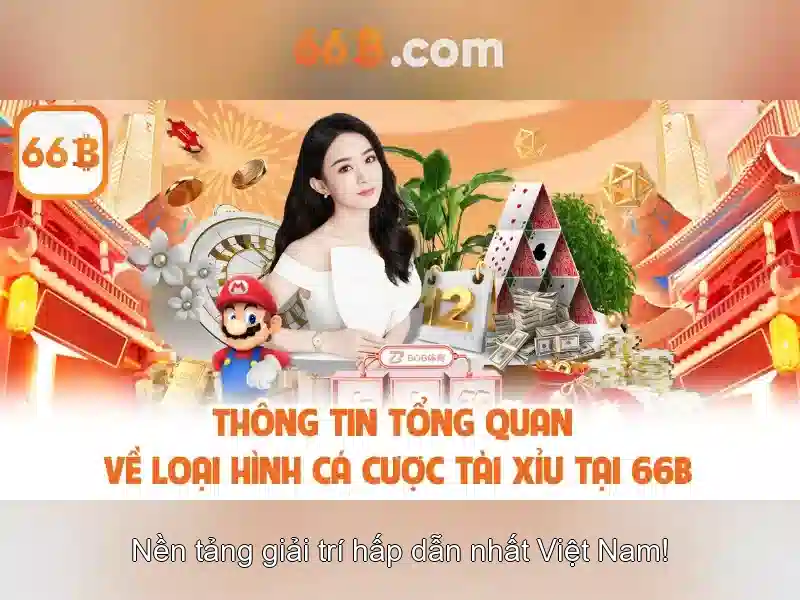 66b là gì và tại sao được quan tâm