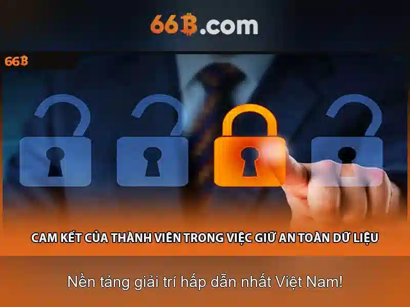Giới thiệu về 66b