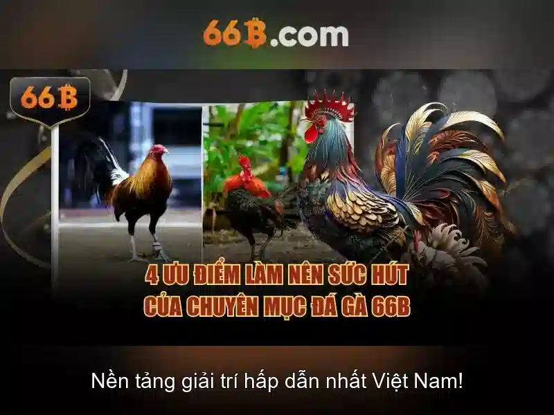 đăng xuất 66b: khám phá trải nghiệm và tương lai