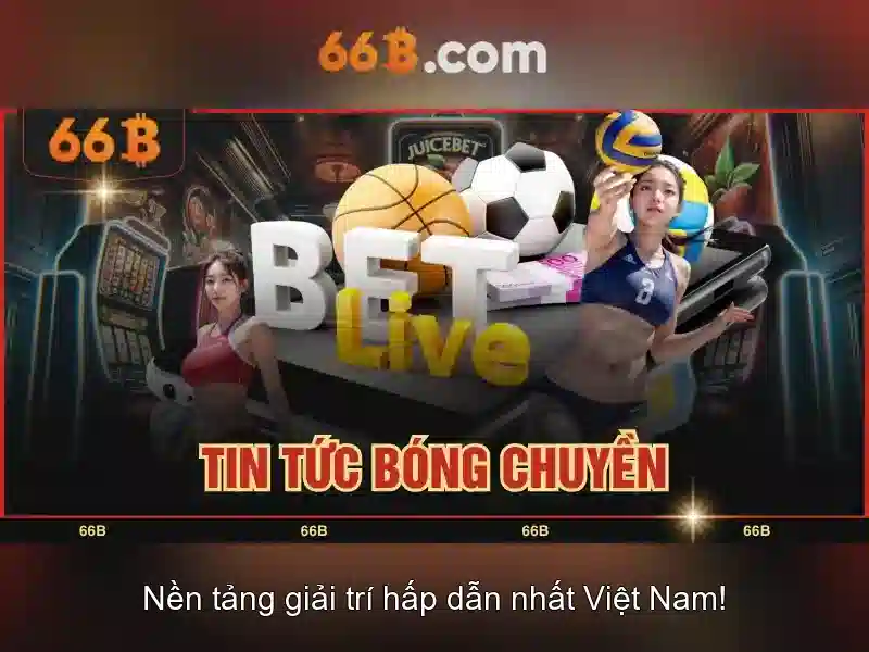 Khám phá 66b: ý nghĩa và ứng dụng