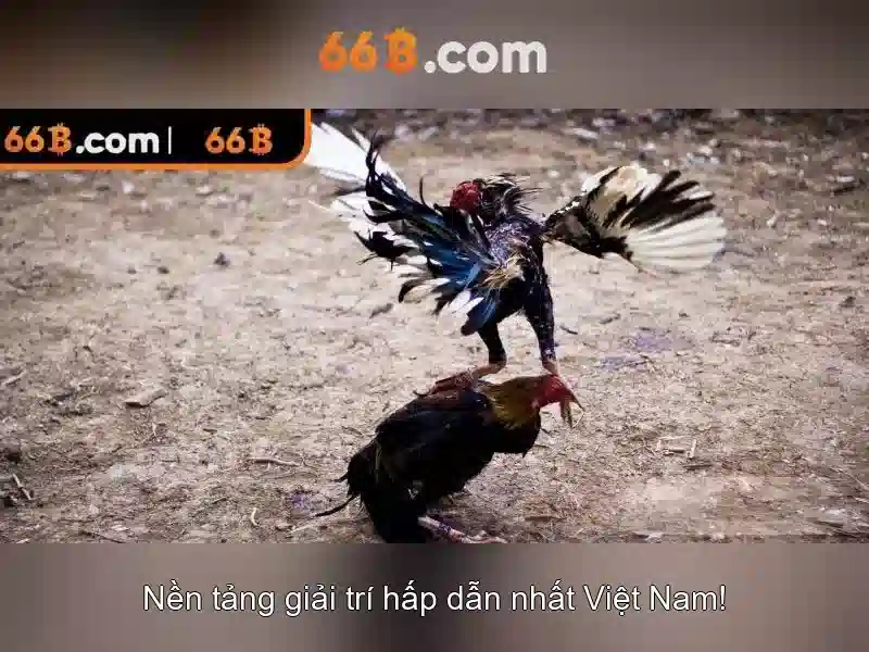 66B: Mô hình ngôn ngữ lớn 66B và tác động của nó