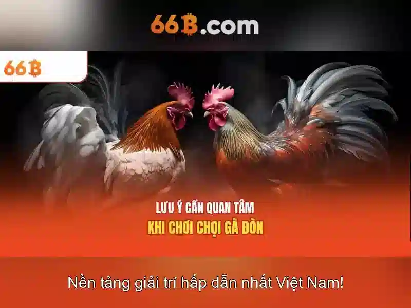 66B: Một cái nhìn về mô hình ngôn ngữ 66 tỷ tham số