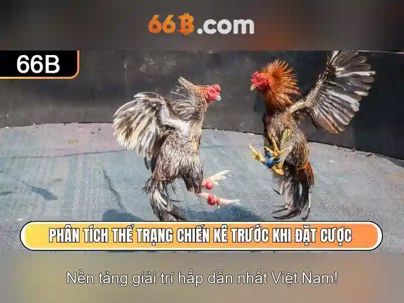 66b là gì: khái niệm, nguồn gốc và ứng dụng