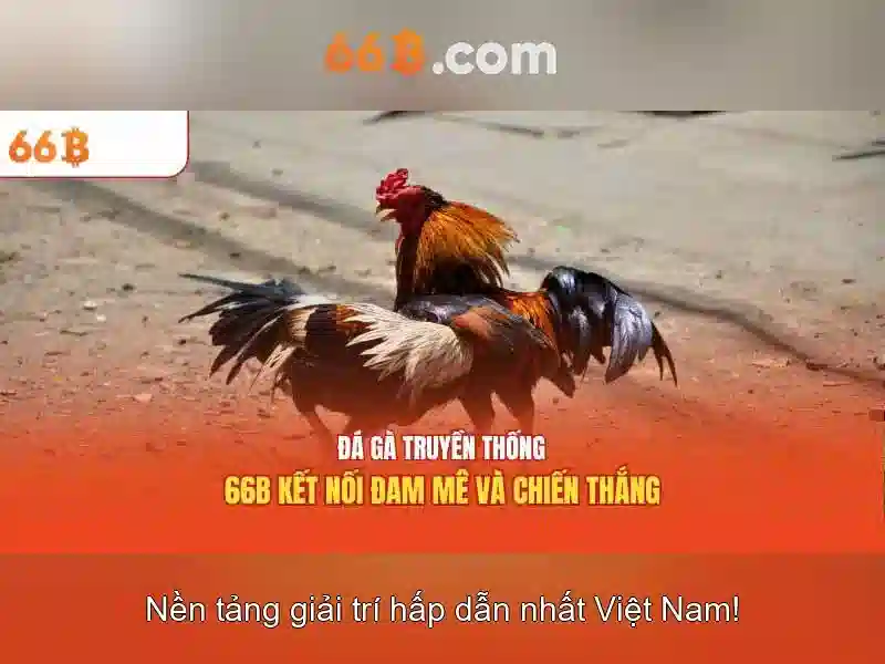 Cấu trúc và quy mô của 66B