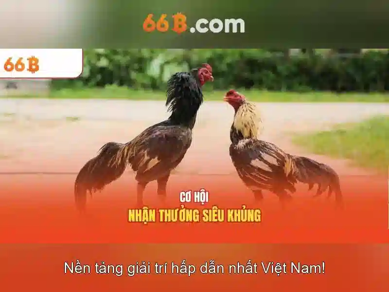 Nguồn gốc và ý nghĩa của 66b trong cộng đồng nghiên cứu