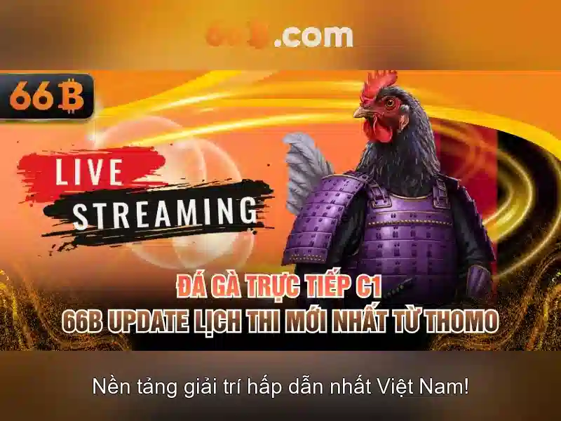 66b: Một cái nhìn tổng quan về mô hình 66B