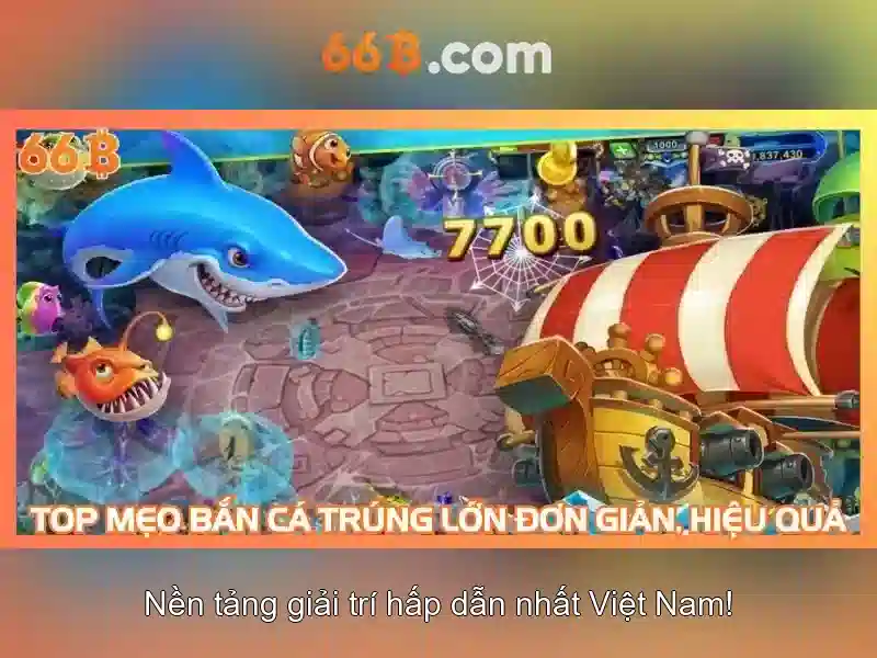 Khái niệm 66b