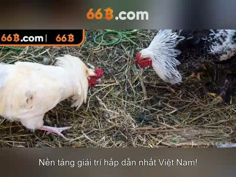 Cấu trúc và cách hoạt động