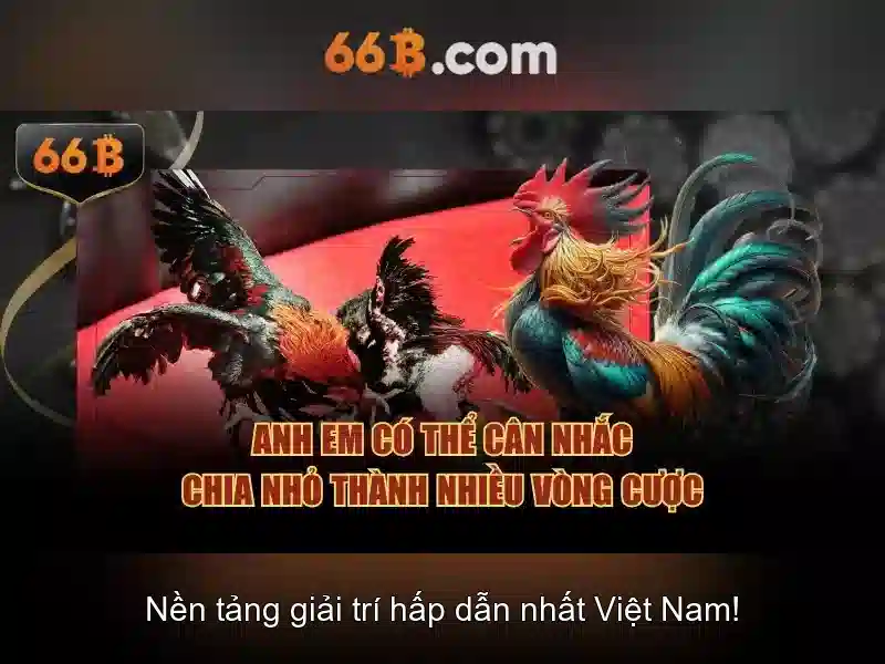 66B là gì?