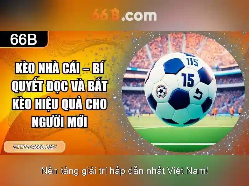 66b: khái niệm và tác động trong thế giới số