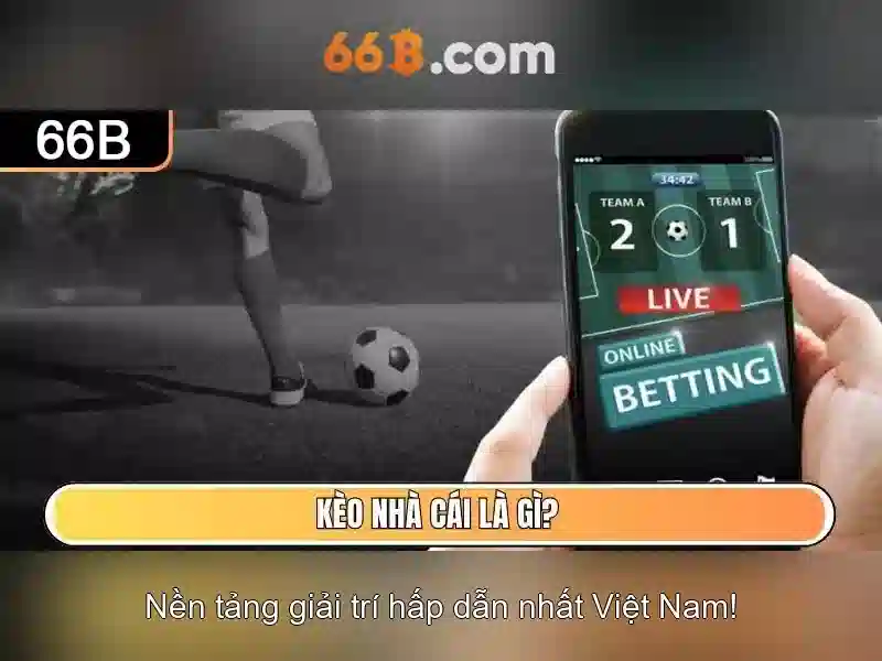 Kết luận và tương lai