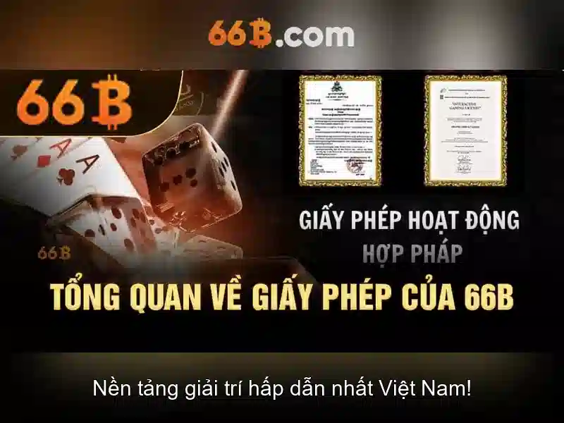 66b: khái niệm và ứng dụng