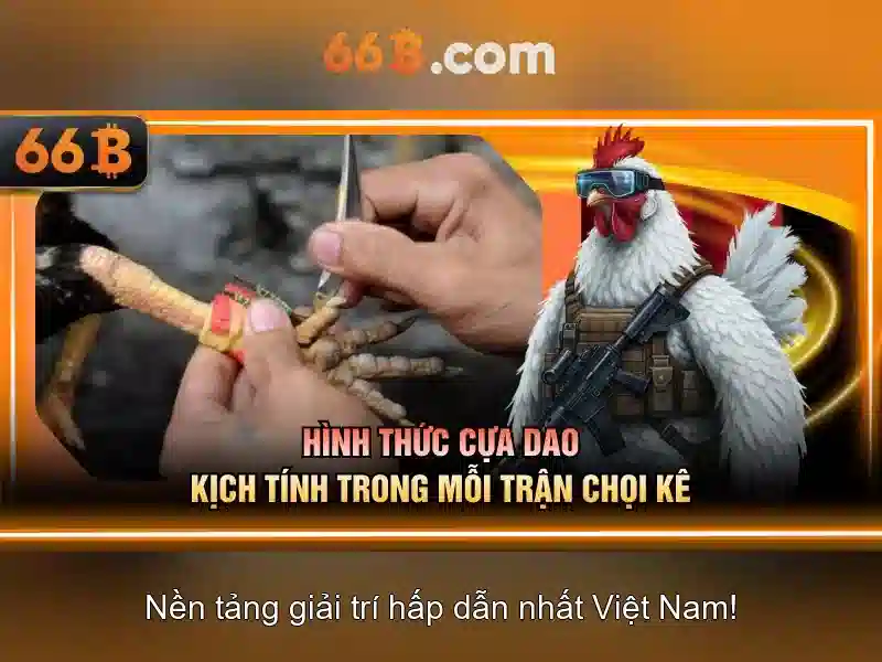 66b: Hành trình hiểu về mô hình ngôn ngữ 66 tỷ tham số
