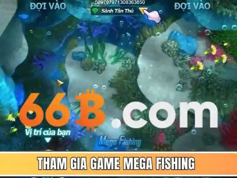 Giới thiệu về 66B