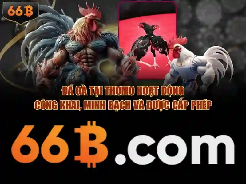 Ứng dụng và thách thức