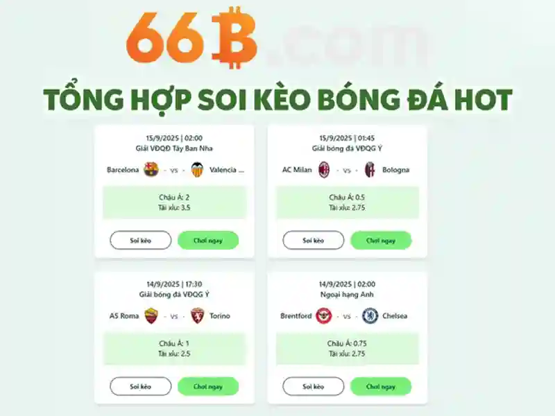 66b là gì?
