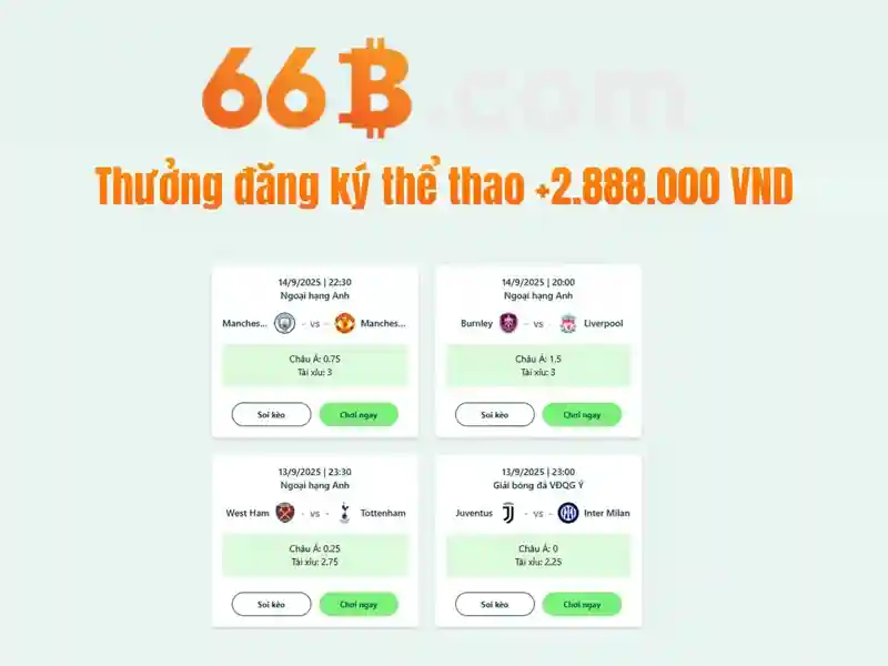 Kích thước và tầm ảnh hưởng của 66B