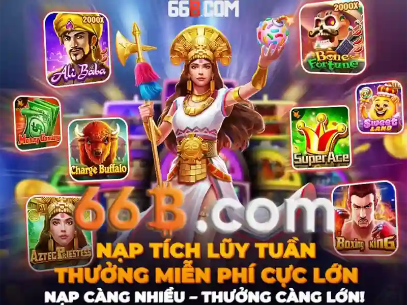 Hiệu năng và tối ưu