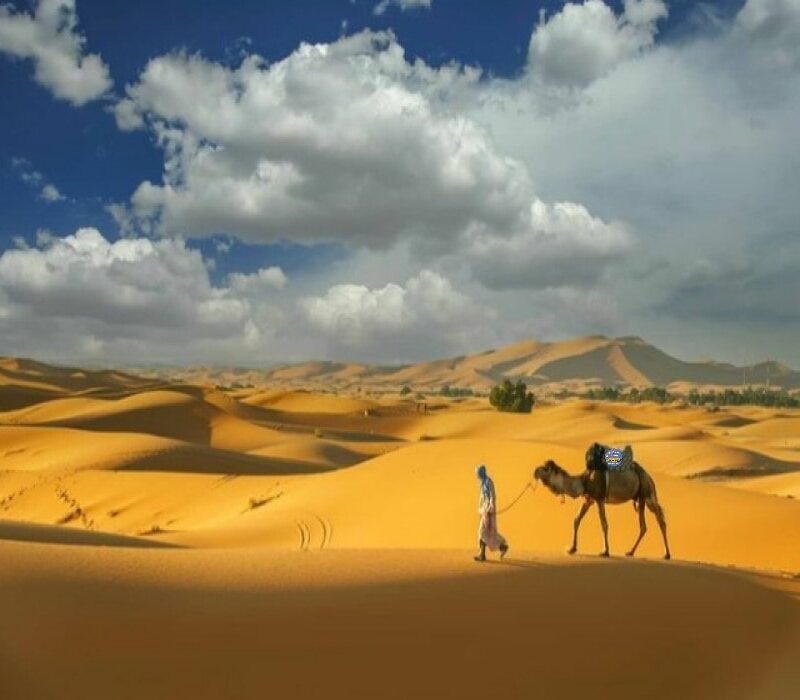 7 Day Camel Caravan Tour from Marrakech - camel hikes trip
