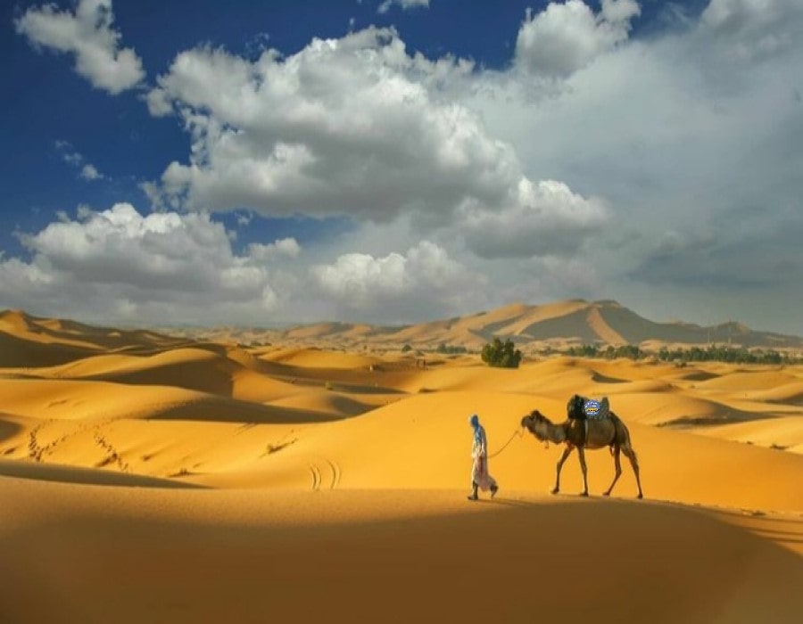 7 Day Camel Caravan Tour from Marrakech - camel hikes trip
